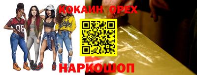 молекула духа Кингисепп