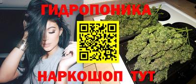 молекула духа Кингисепп