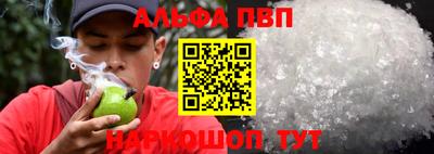 молекула духа Кингисепп