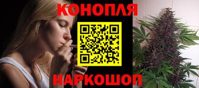 молекула духа Кингисепп