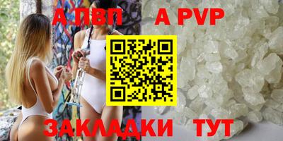 молекула духа Кингисепп