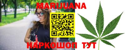 молекула духа Кингисепп