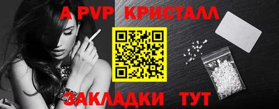 молекула духа Кингисепп