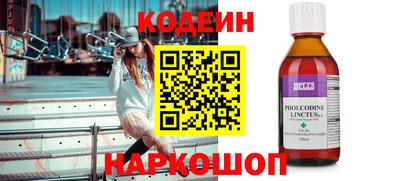 молекула духа Кингисепп