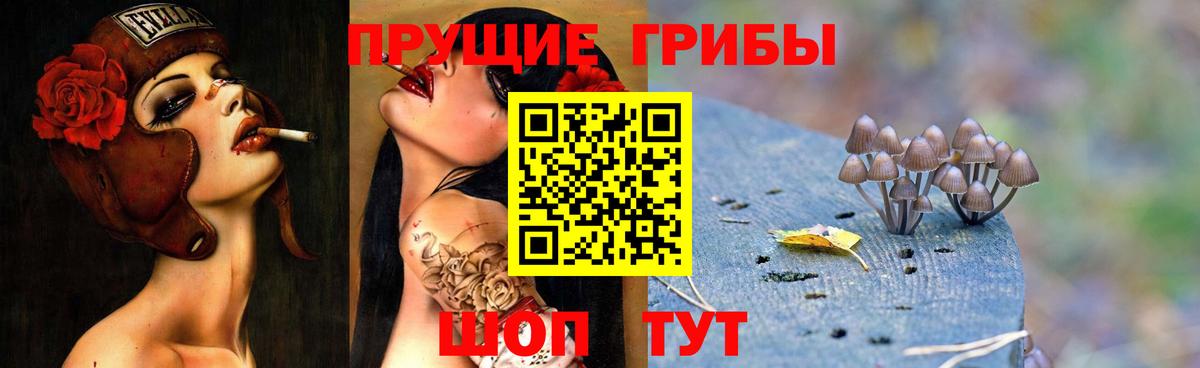 Псилоцибиновые грибы прущие грибы  Псилоцибиновые грибы GOLDEN TEACHER  Вход с VPN  Улан-Удэ 